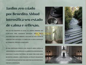 foto 11.jpg